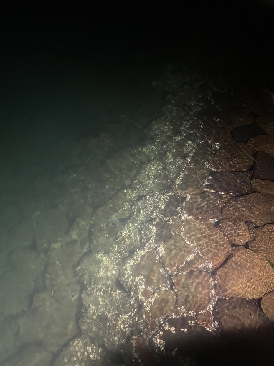 主に風景写真を提供します 私の写真が届ける、自然の美しさと心の喜び。 イメージ2