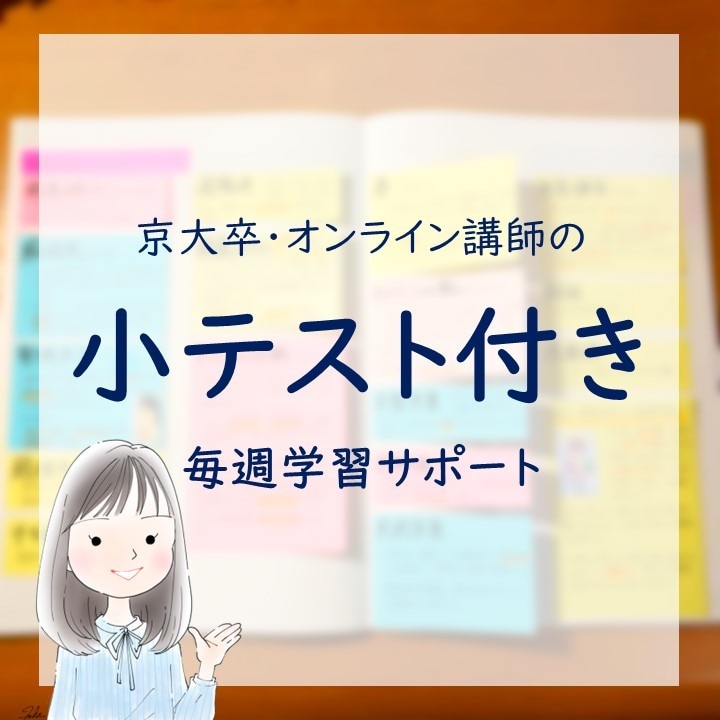 京大卒オンライン講師が1か月毎週学習サポートします 小テストも行う充実サポートコース イメージ1