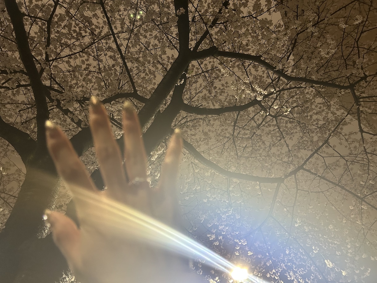 悩み、愚痴、何でも聞きます ：知らない人だから話せること、打ち明けて心を軽くしませんか？ イメージ2