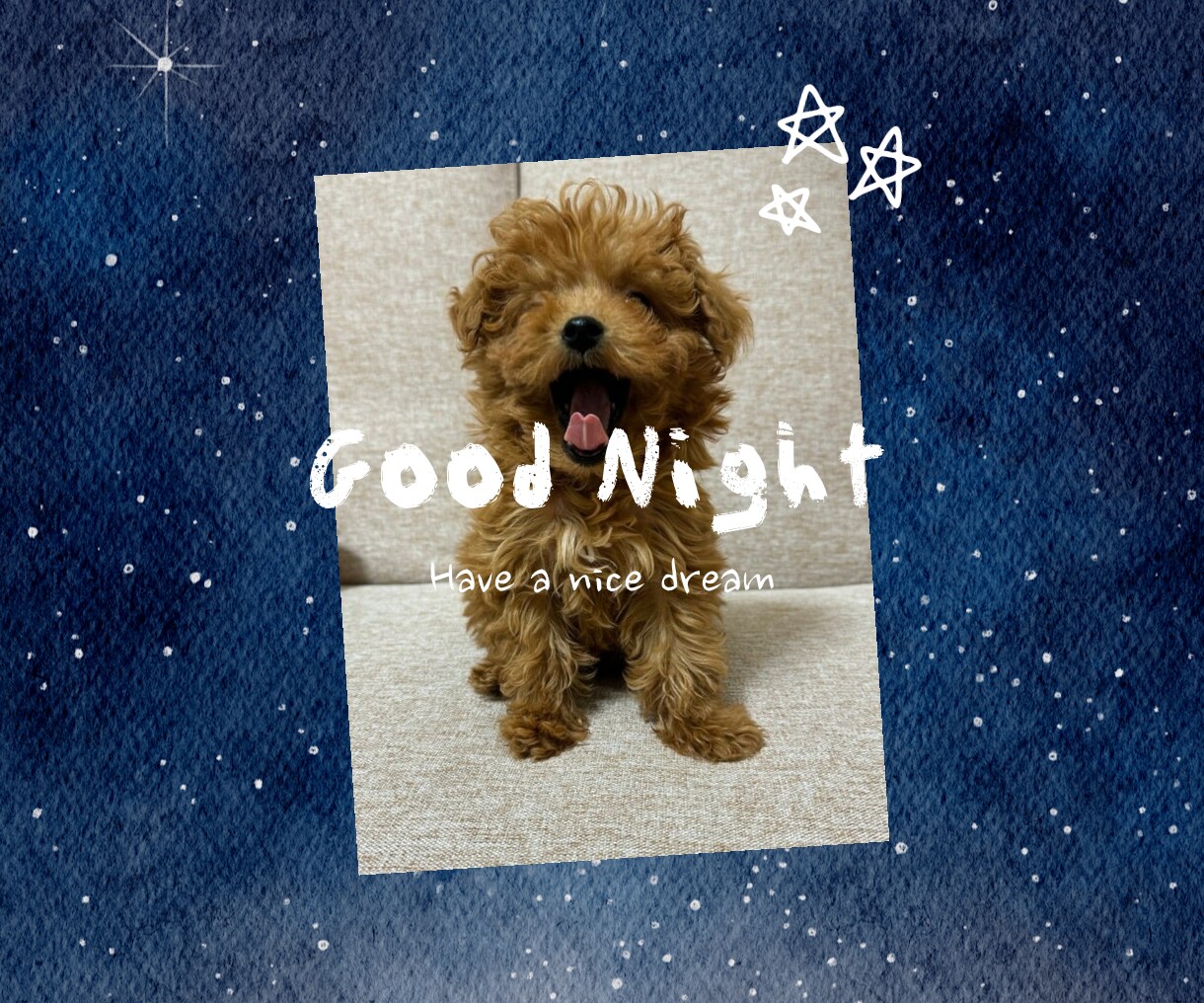 男性限定☘️恋愛相談、いますぐお聴きします 元キャバ嬢があなたの気持ちをそっと受けとめます♡♥ イメージ5