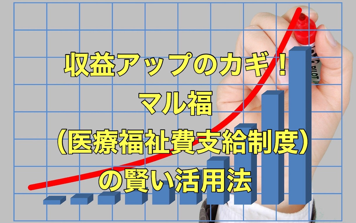 収益アップのカギ！賢いマル福の活用法を教えます ★訪問鍼灸マッサージの医療福祉費支給制度完全ガイド イメージ1