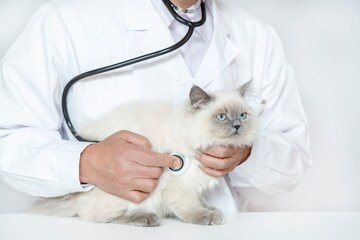 獣医師がペットのお悩みにお答えします 動物病院に行かなくても気軽に獣医師に相談できちゃいます！ イメージ1