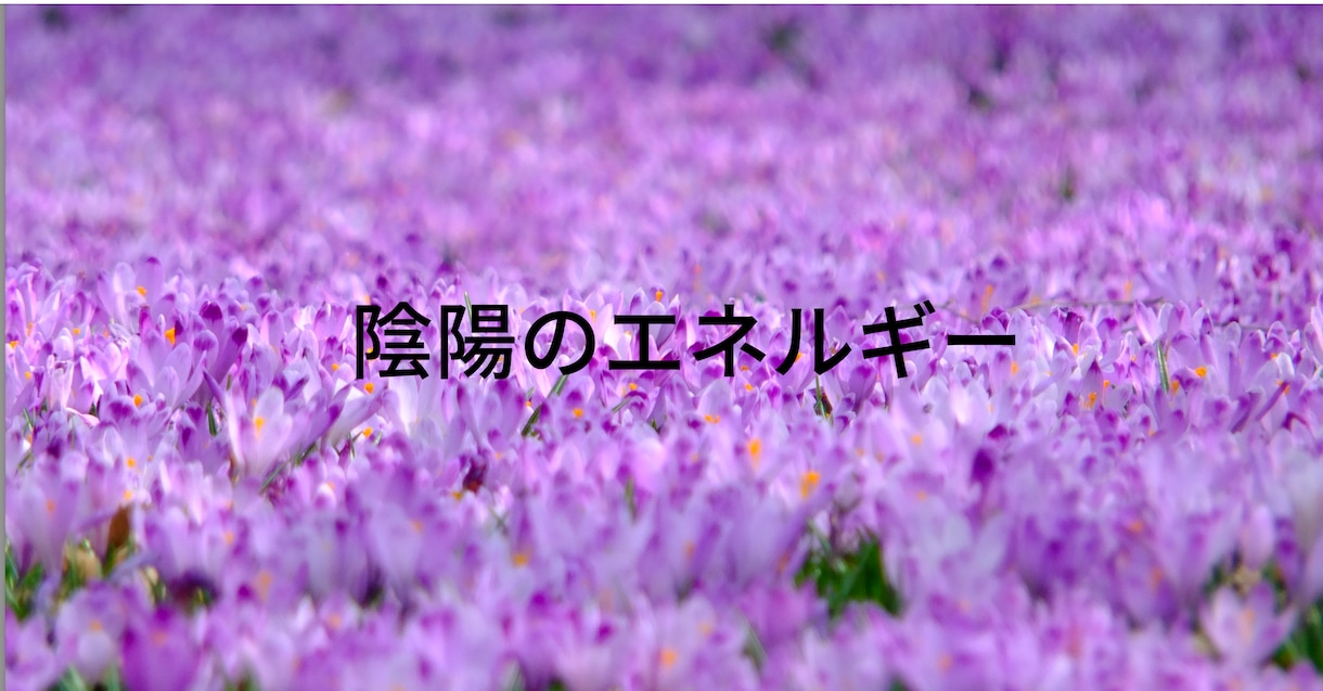 突然の怒り、やる気の無さを一緒に覗きます 突然の怒り、やる気の無さを一緒に覗き、断捨離 イメージ6
