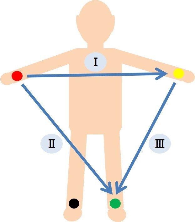 医療系のイラストをPowerPonitで作成します 勉強会やセミナー等で使用下さい イメージ3