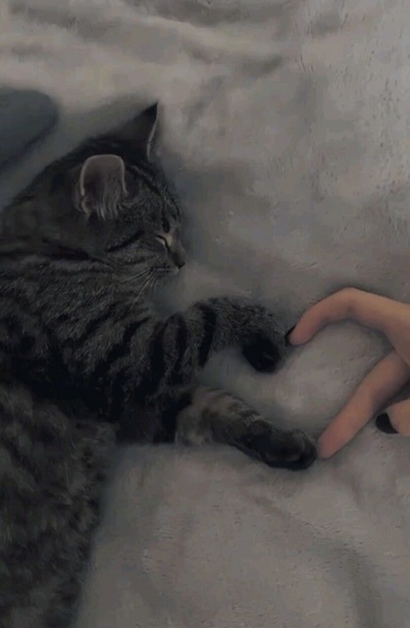 曇りの気持ち☁️晴らします 癒しの✨心のデトックスタロット˚✧₊ イメージ3