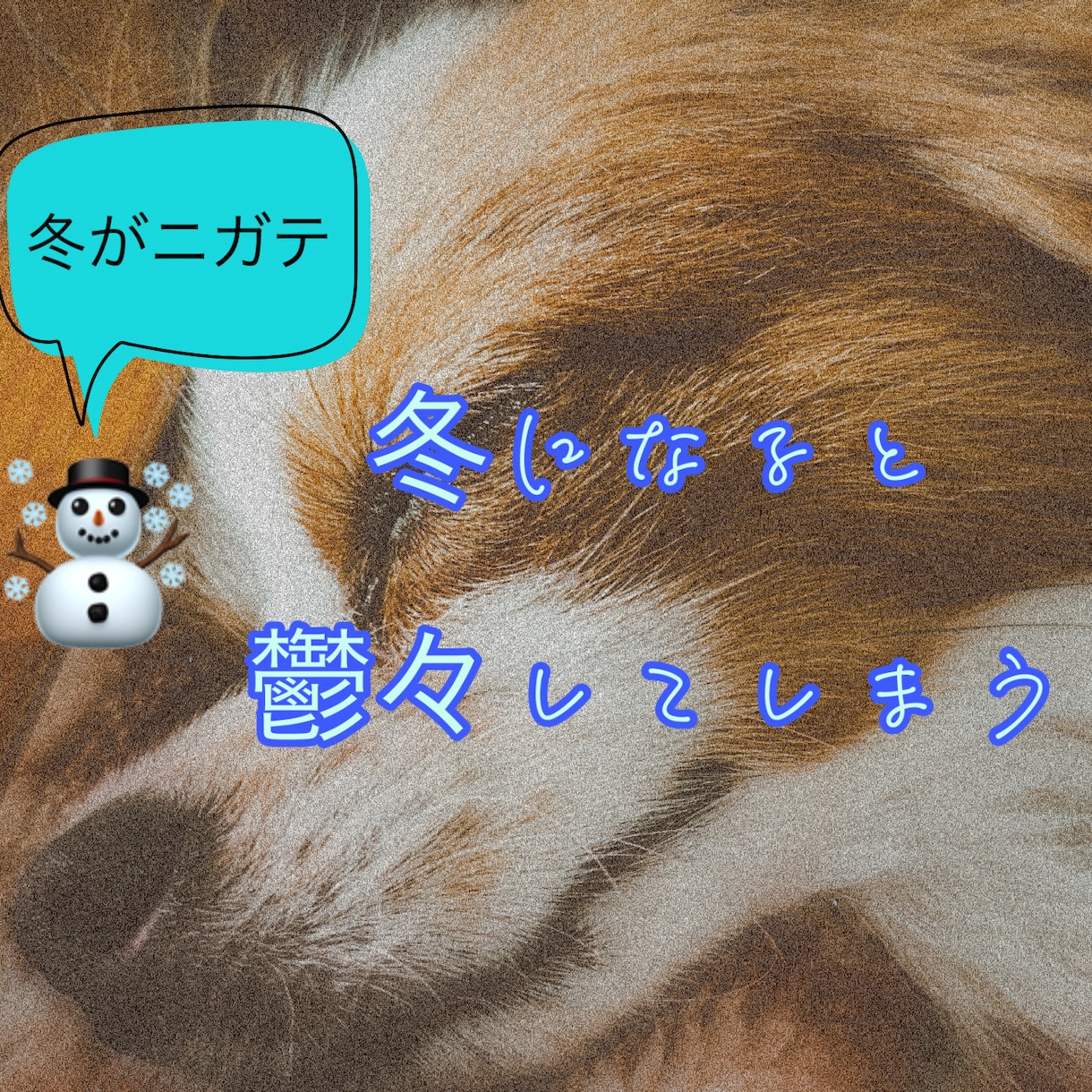 冬の体調不良に悩んでる方のお話を聴きます 季節性うつ、冬季うつの苦しみや悩みを経験者にぶつけてください イメージ1