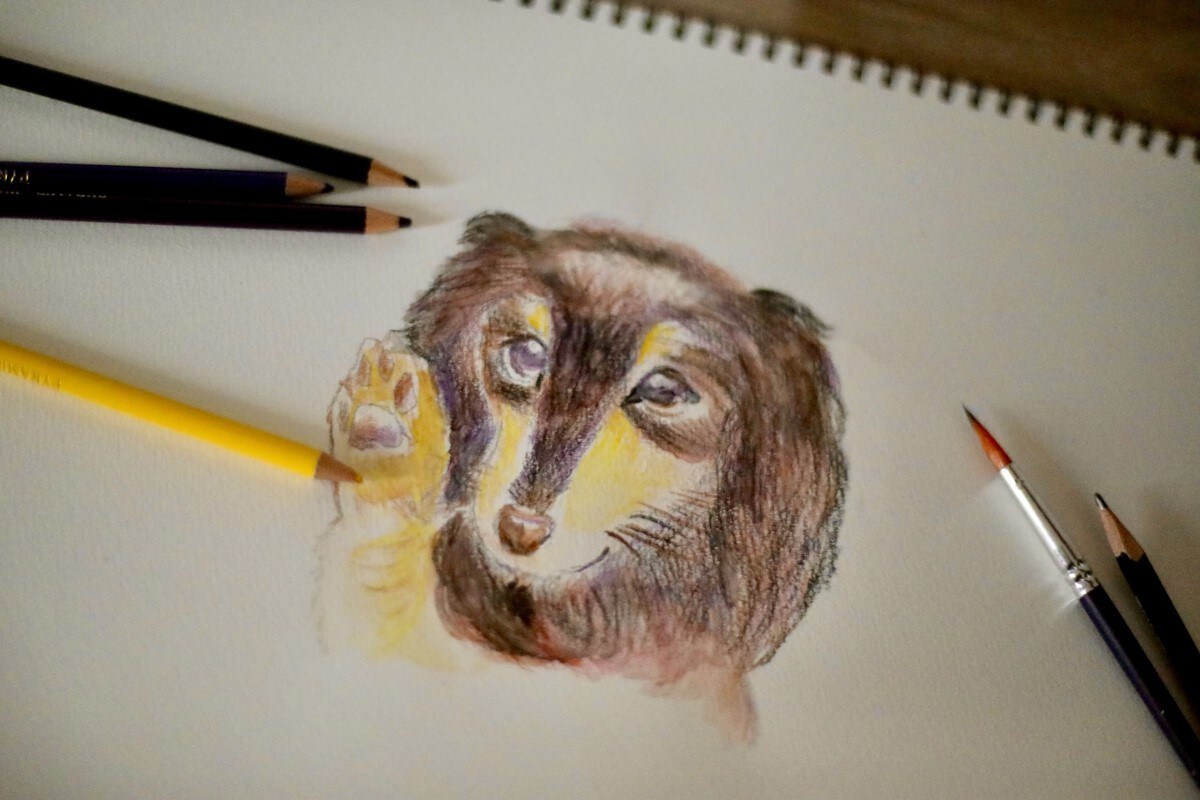 ペットの似顔絵描きます アナログでペットの似顔絵を描きます。 イメージ3