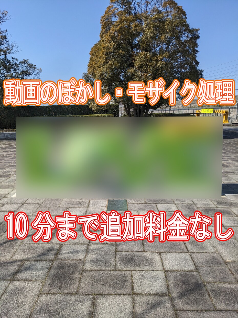 動画のぼかし・モザイク・画像貼り付け処理いたします 動画10分、対象物3点までオプションなしで対応いたします イメージ1