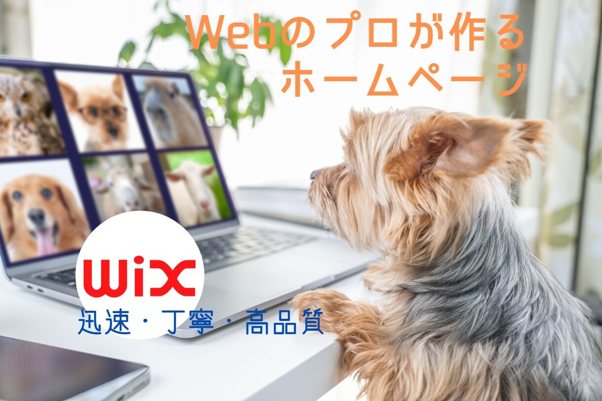 WiXでのWebサイトの制作、承ります WebのプロがデザインやUI等も考慮し、安価で早く制作します イメージ1