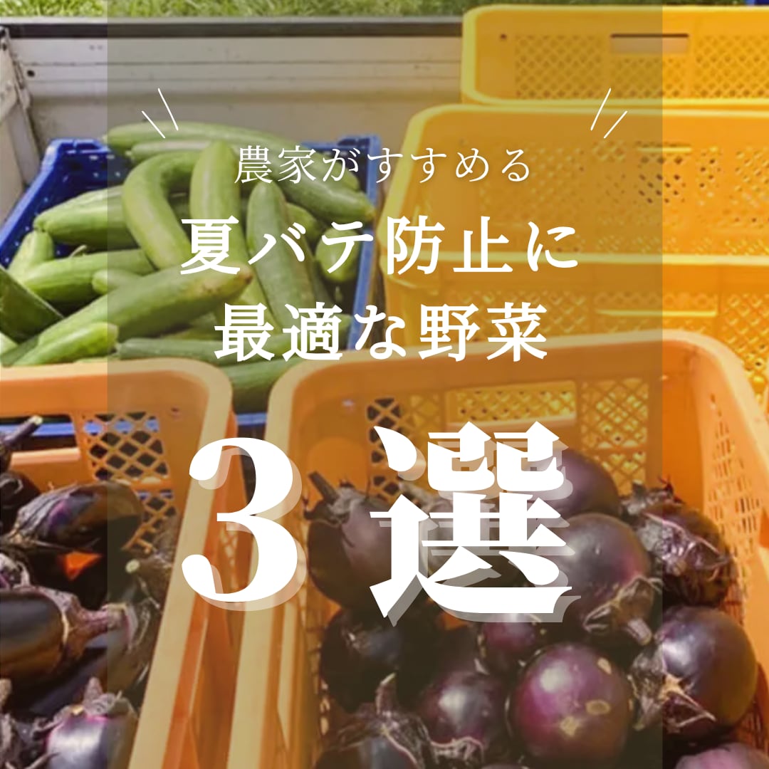 長期で堅実・誠実にインスタ運用代行します ブランドイメージを大切に慎重に運用したい企業様・個人様向き！ イメージ2