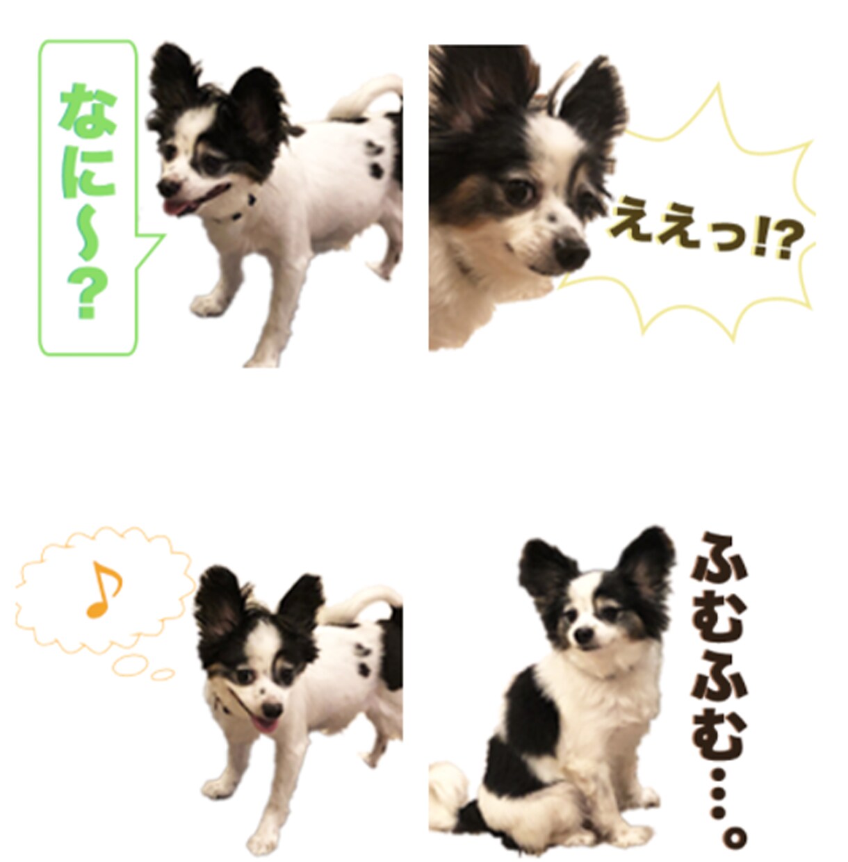 ペットやお子様のLINEスタンプをお作りします 【2000円〜】世界にたった一つのあなただけのスタンプ イメージ9