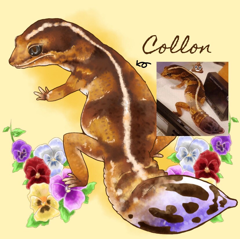 リアル調全身でペット/動物をイラストにします イラスト完成までのメイキング動画もプレゼント！ イメージ2