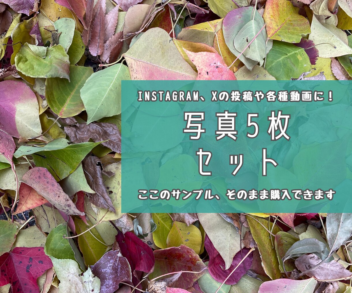 秋の風景写真、5枚→10枚提供します 加工、商用利用OK！各種静止画投稿・動画の背景に使えます イメージ1