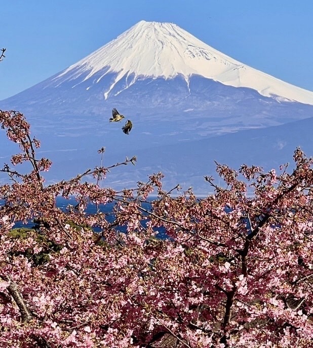 姓名判断します 内側のなりたい自分と、外側から見えている自分をお伝えします。 イメージ1