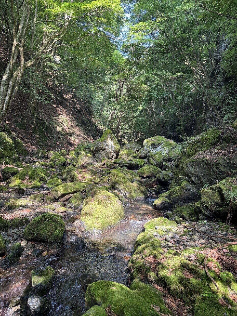 愚痴でも雑談でもOKます ちょっと暇したなとき、誰かと話したい時に気軽にどうぞ！！！ イメージ1