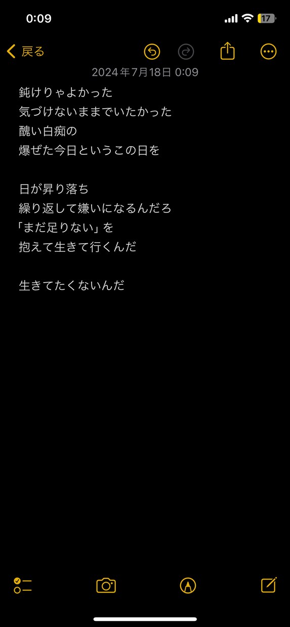 超格安！現役ボカロPがあなたの曲に歌詞をつけます 【最安値】厭世的な含み、言葉遊びのある歌詞を作るのが得意です イメージ4