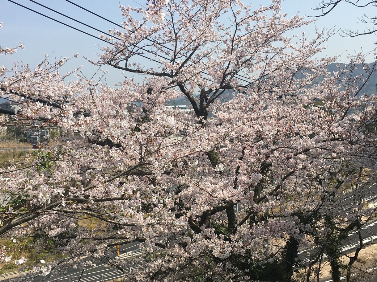 妊活中の中学高校の元理科教員が教育相談に乗ります 教育関連のどんな悩みも根気強くご相談に乗ります！ イメージ1