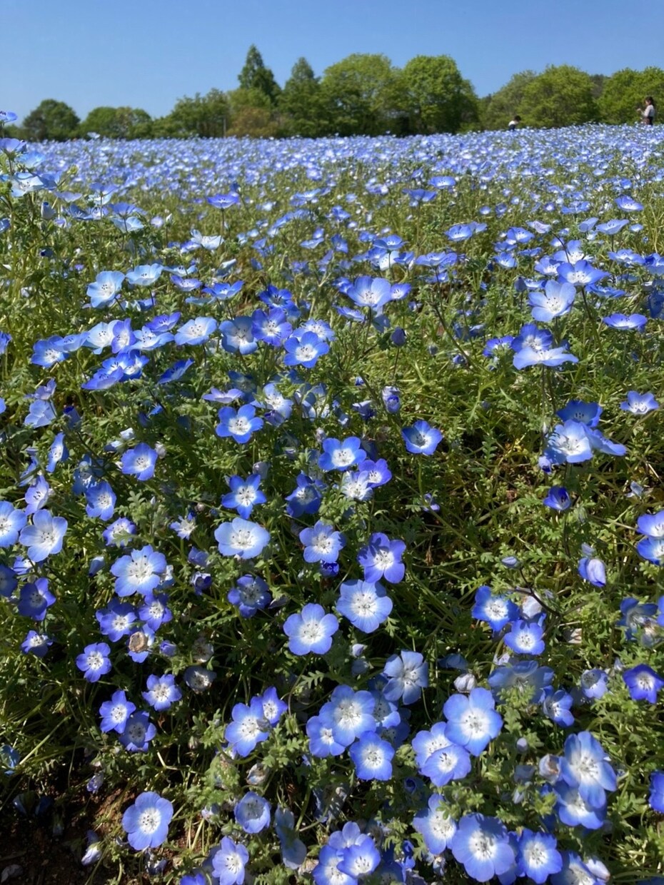 愚痴や悩み、雑談などお話し聞きます 誰かに言いたいその気持ち、口に出してスッキリしてください。 イメージ4