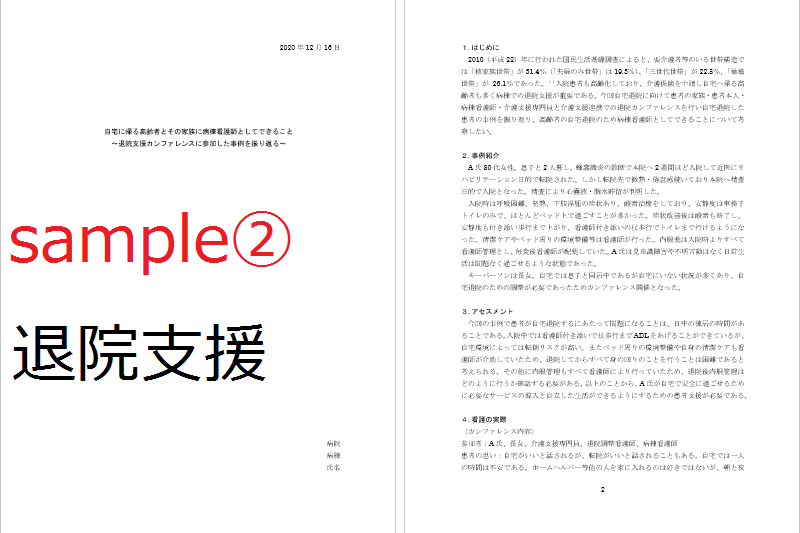看護の資料作成！ケースレポートの作成を手伝います すぐ書き出せる！様式・書き方・実際の例をまとめてお送りします イメージ6