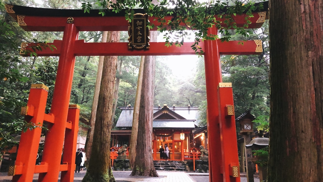 応援してる神様や呼ばれている神社や神様を鑑定します テレビや、雑誌、ラジオにも取り上げられる占い師 イメージ4