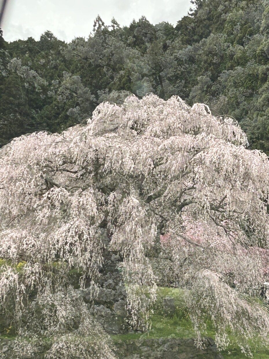 あなたの辛い気持ち詩にして届けます 今の気持ち言葉にしてみませんか？ イメージ4