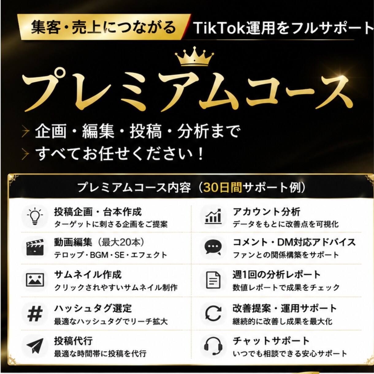TikTok運用を丸ごと代行します 集客につながるTikTok運用を徹底サポート イメージ1