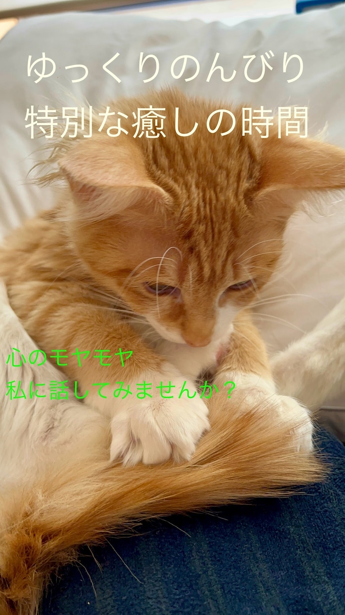 あなたのためだけの特別な時間⭐︎癒しご提供します 心を癒すおてつだい⭐︎私とお話しして少し息抜きしませんか？ イメージ1