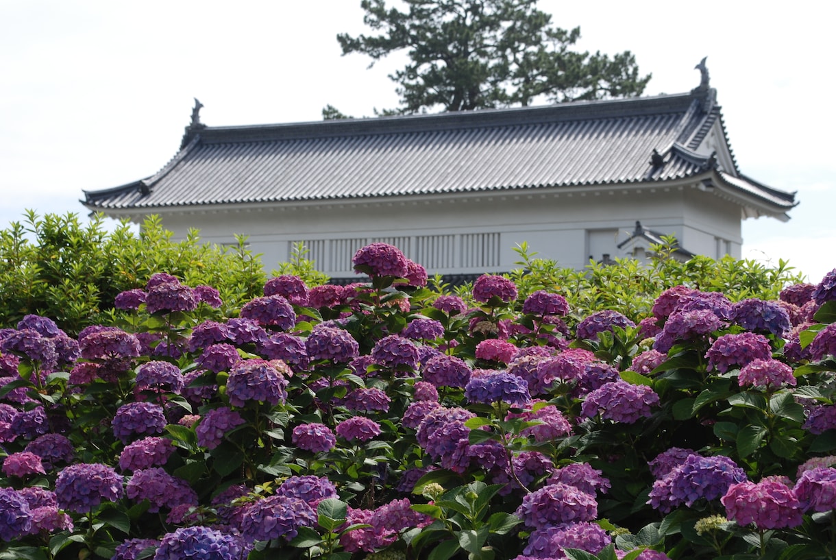 箱根町・小田原市のおすすめアドバイス致します 個人旅行、友人と、家族で、カップルで様々なシチュエーションに イメージ8