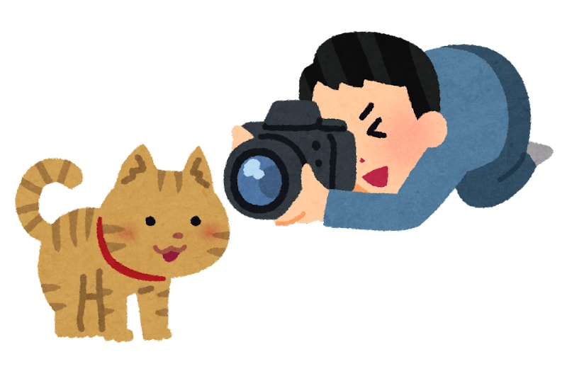 お出掛けついでに稼げる副業教えます お出掛けの際に写真を撮るだけ！一分ほどで出来る副業となります イメージ4