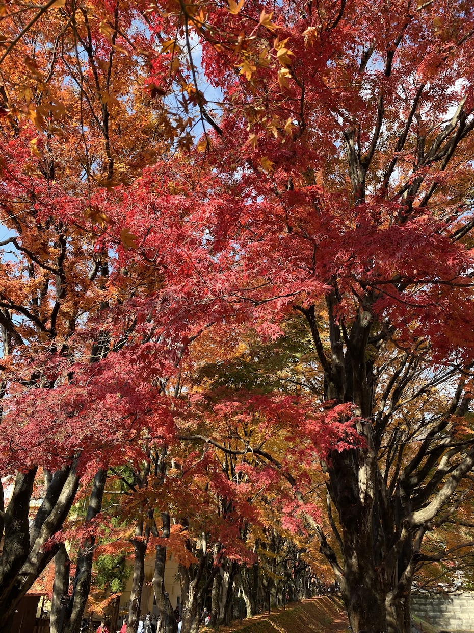離婚するか悩んだ時、まずどうするかの相談にのります お金の事、住む場所、子ども、弁護士…一つずつ整理しましょう！ イメージ5