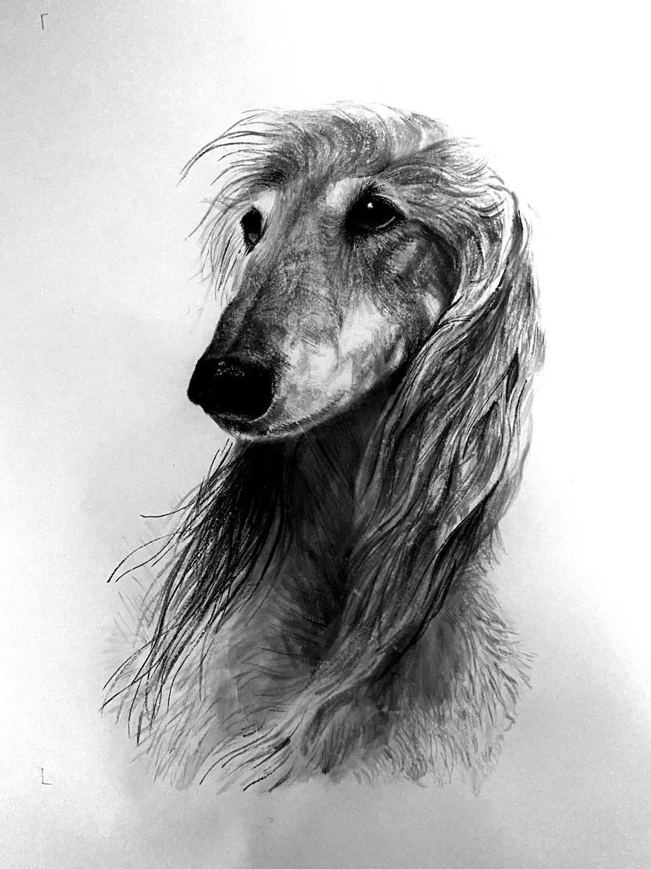 数名限定‼️水墨画】愛犬の似顔絵承ります - メルカリ