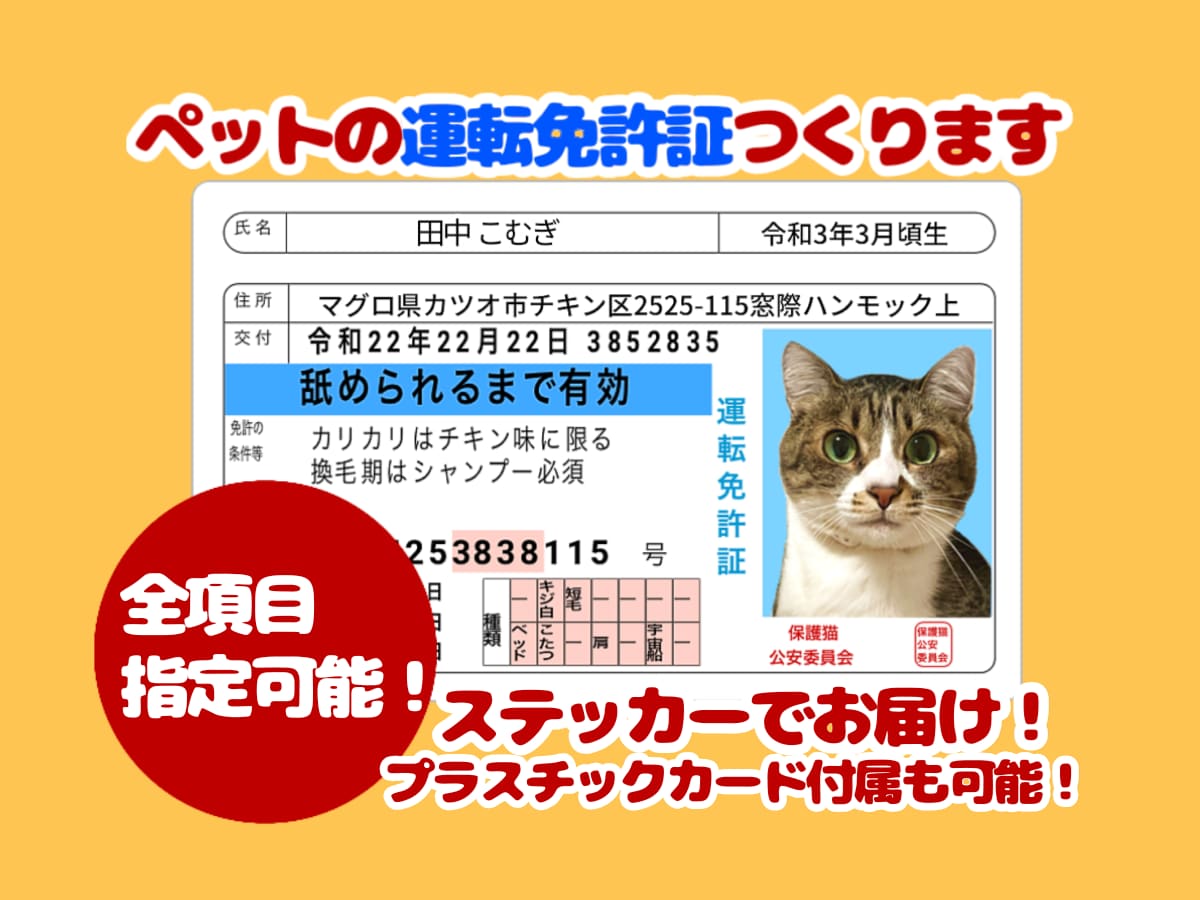 ペット様のお写真からパロディ運転免許証を作ります 細かな項目全てご指定可！ステッカーでお届け・プラカード有 イメージ1