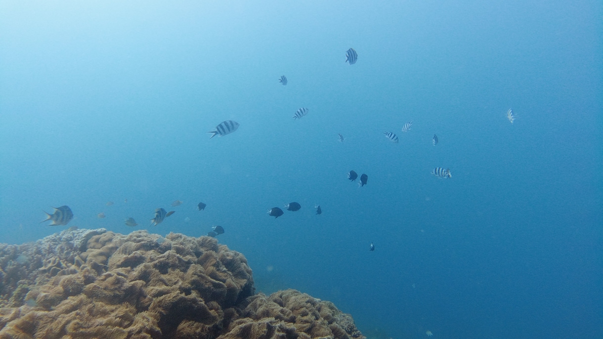 沖縄県本島でドローンなどによる動画撮影代行致します ドローン、アクションカメラなどを使用した動画撮影を提供！！ イメージ3