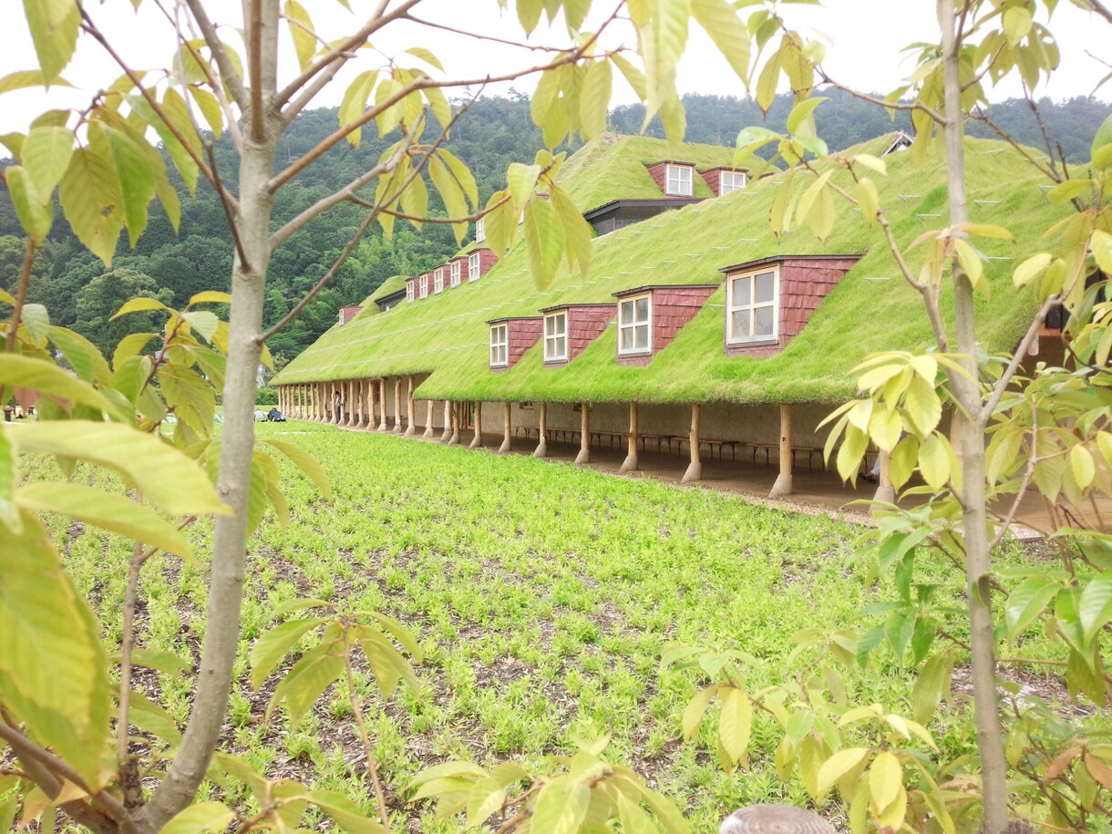旅行先（京都・滋賀）の不安を取り除きます 旅行代理店・旅行雑誌も知らない情報をお伝えします。 イメージ9