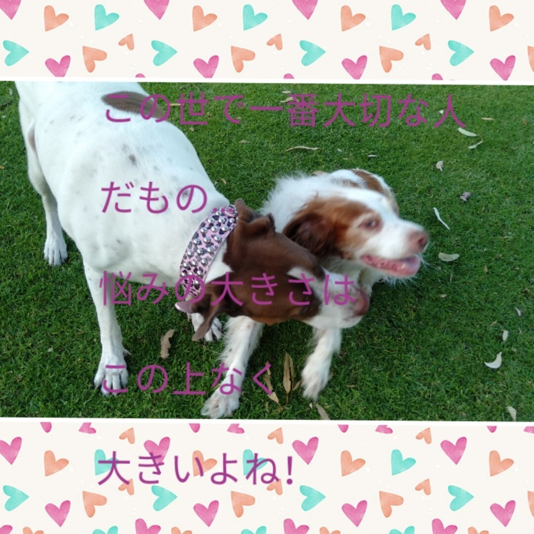 子育て／幼児教育についてや先生方のお悩みに答えます プロの意見を聞いて問題解決！個性を伸ばす教育のお手伝い！ イメージ1