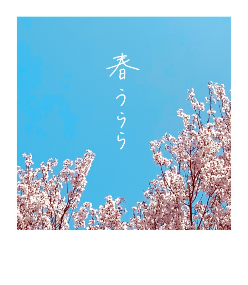 温かみのある手描き文字をお書きします あなたの作品に寄り添うような手書き文字をお書きいたします。 イメージ1