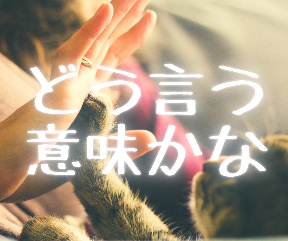 鑑定結果がふに落ちない…迷ってる方へ説明します アドバイスを受けたけれど、何か違う気がして救われないときに イメージ1