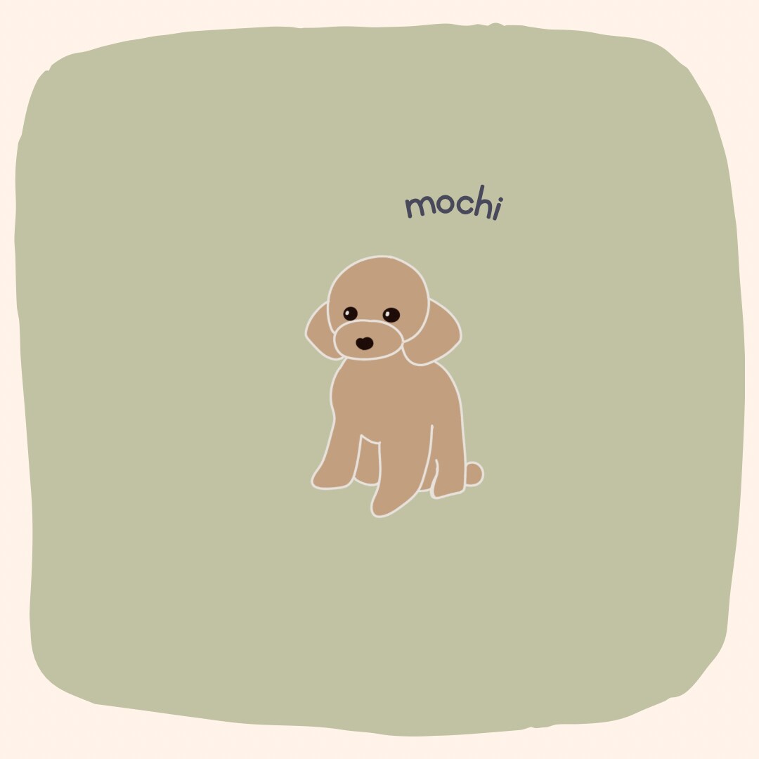 愛犬ちゃんのイラストを制作します 愛犬ちゃんのお写真からイラストを制作します イメージ5