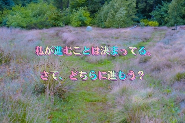 24時間以内に決断☆二者択一について背中を押します ♡タロット♡それぞれの未来がどうなるか見てみませんか？ イメージ1