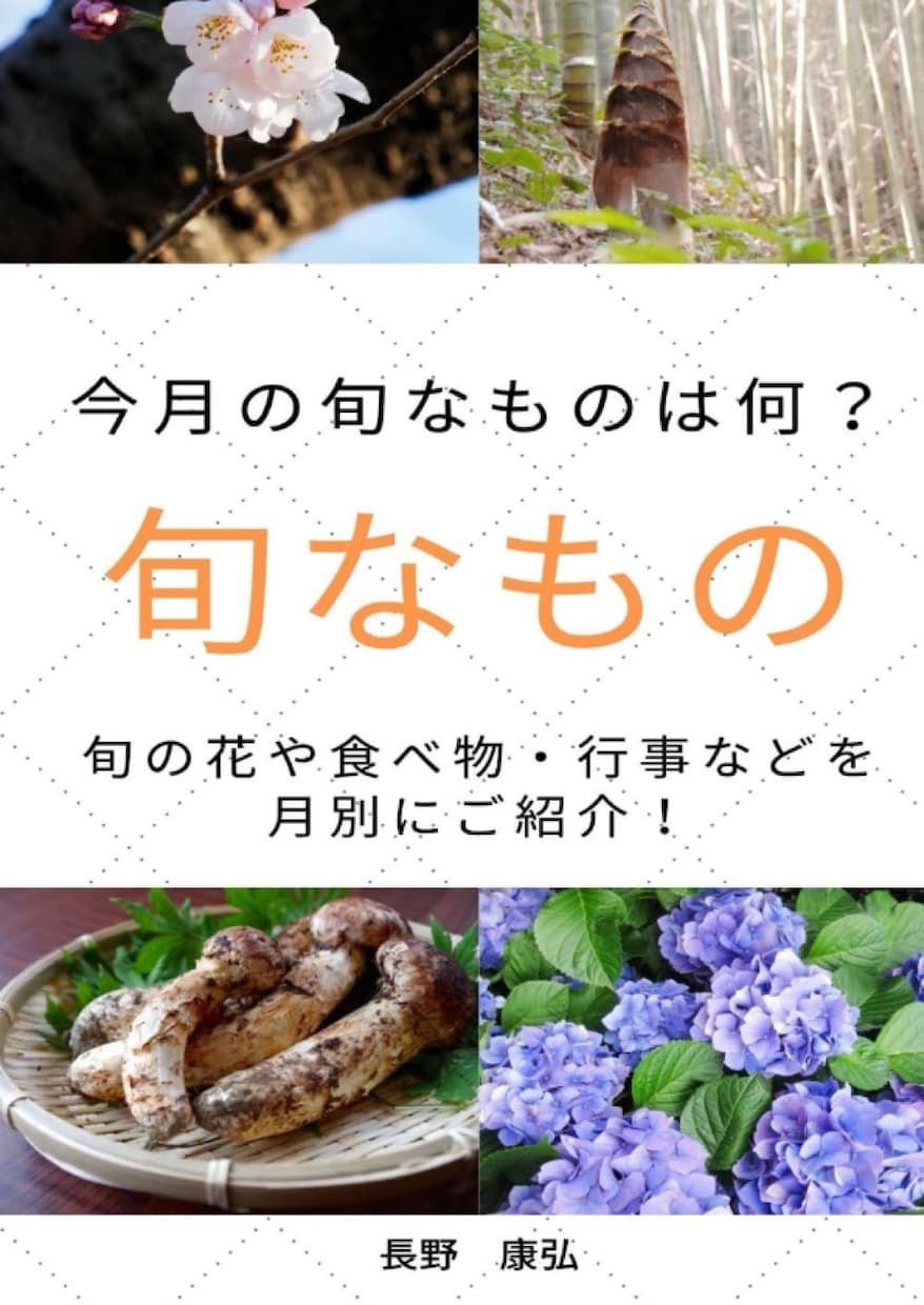 丸投げもOK！電子書籍と紙の書籍の同時出版をします １つの原稿から電子書籍と紙の書籍（POD出版）を代行します イメージ9