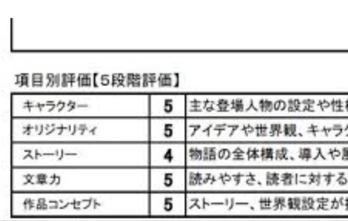 あなたの書いた小説を読んでアドバイスします ラノベ作家による評価シート、総評、感想、アドバイス付き。 イメージ2
