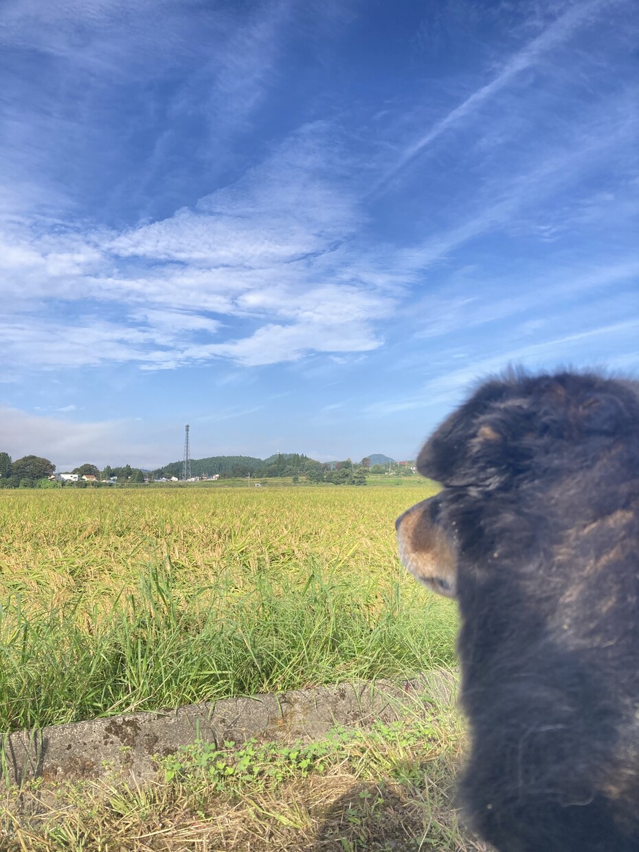 自然寄りの暮らしって実際どう？お話しします のんびり暮らしのリアル、お話しします イメージ5