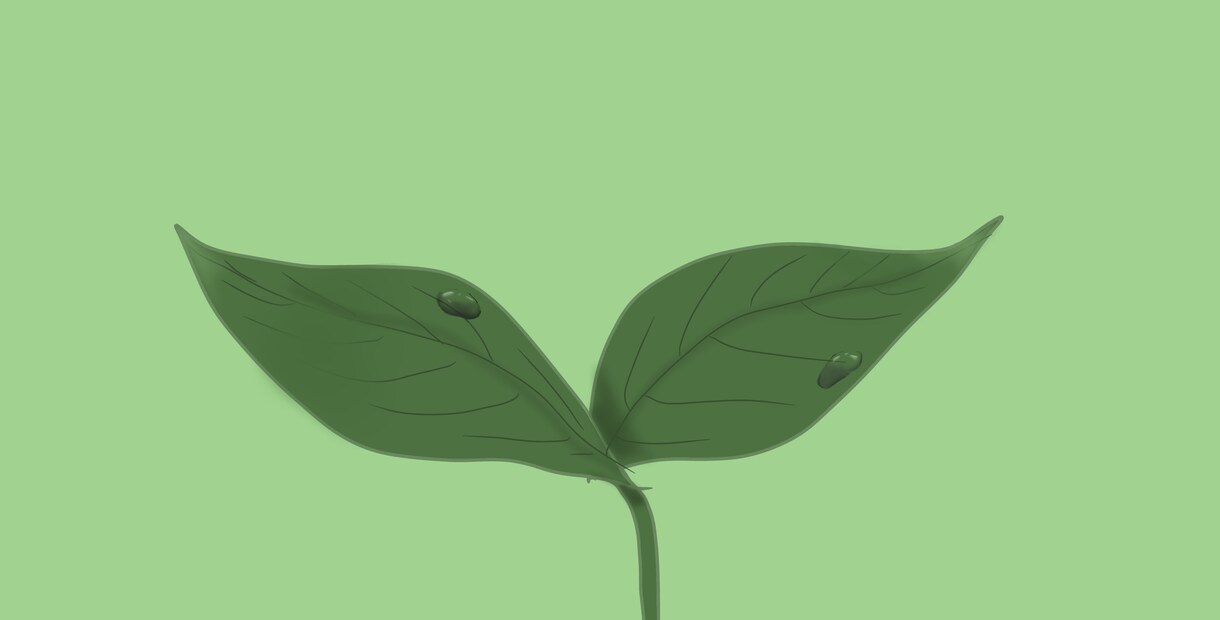 植物や食べ物をリアルに描きます 光の入りや色味など、細かいご要望承ります。 イメージ2