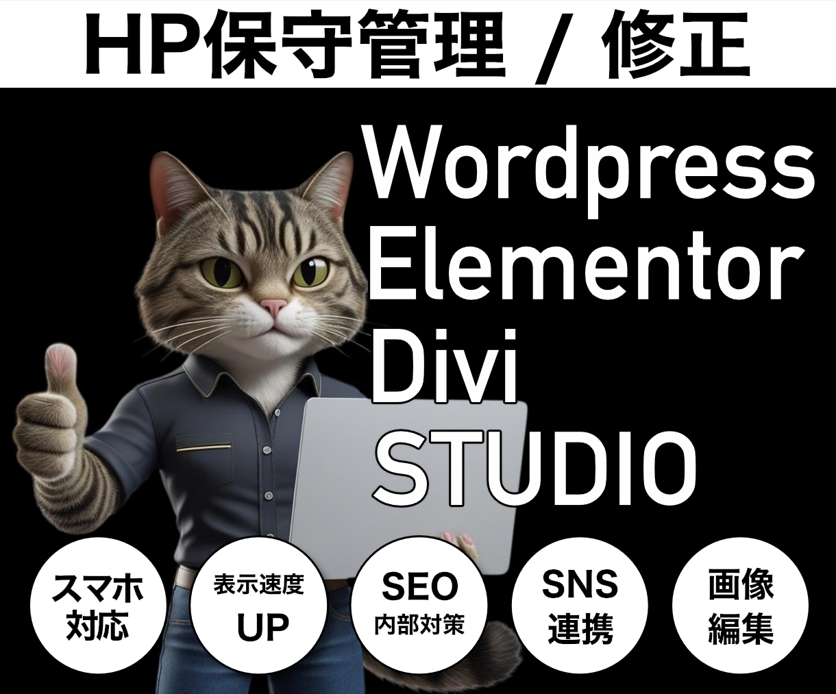 WordPress｜HP｜保守管理＆修正いたします Elementor｜STUDIOサイト保守＆修正サポート イメージ1