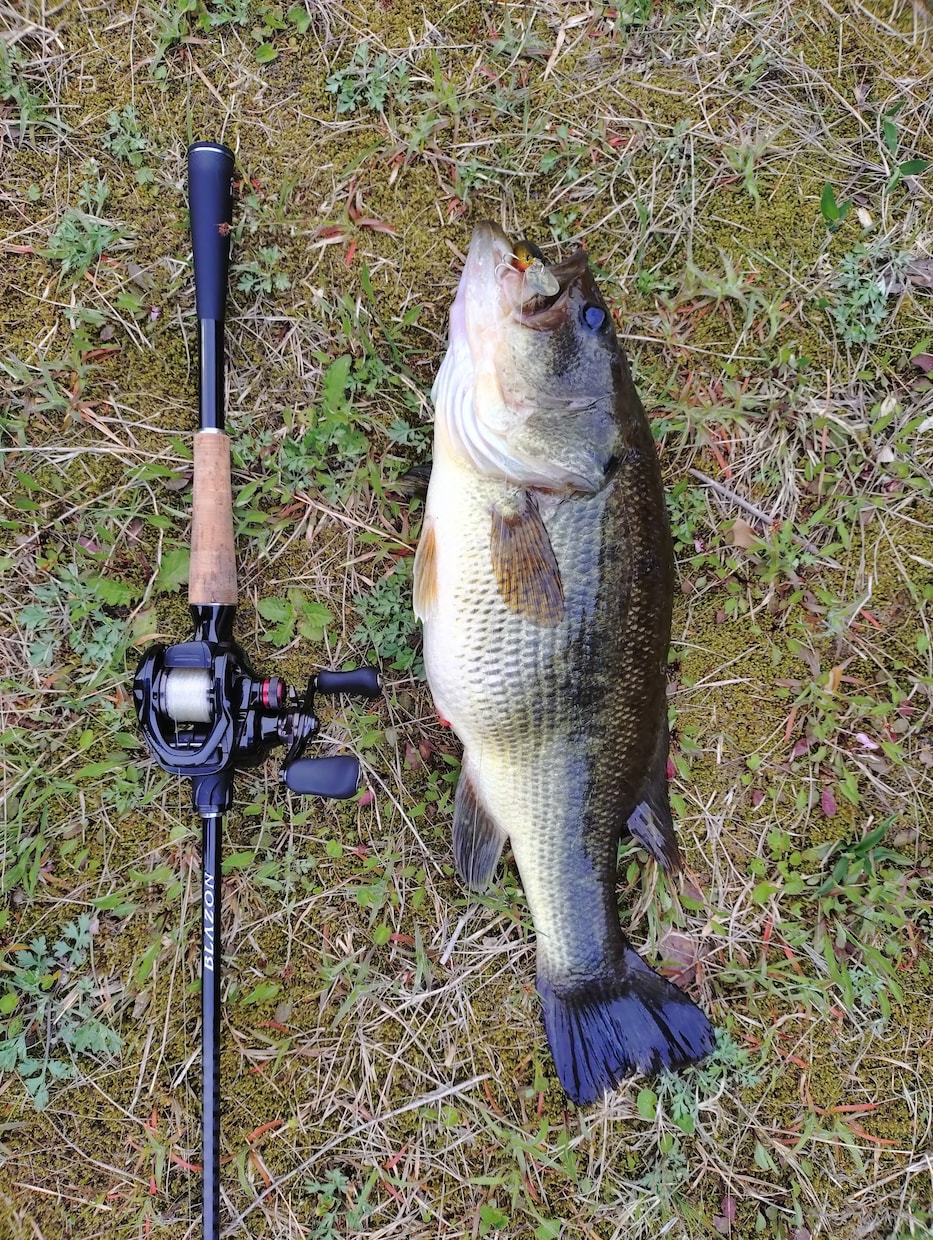 春バス　初心者〜中級者の釣れない悩みを解決します 春バスの「なぜ釣れない？」を解決春バス初心者も大歓迎！ イメージ1