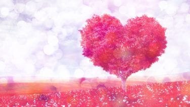 霊視にてお相手のお気持ち視ます 気になるお相手様の心を丸裸に！ イメージ1