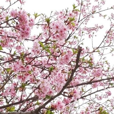 インスタグラムで凍結されにくい名前をお教えします インスタグラムが凍結されにくい名前をお教えいたします イメージ1