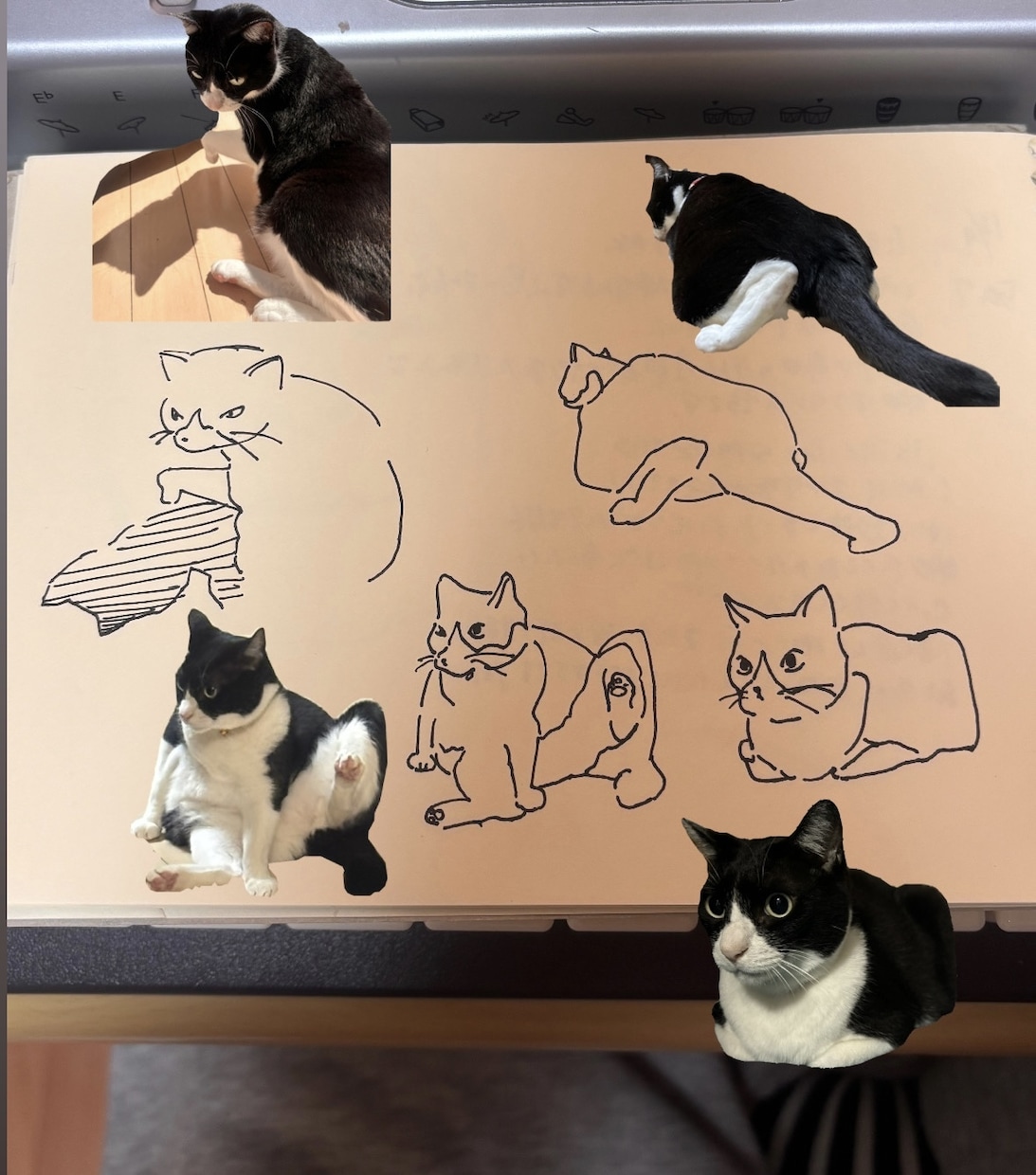 あなたの大切なペットを可愛く描きます 絵から感情が伝わってくるようなイラストを描きます！ イメージ3