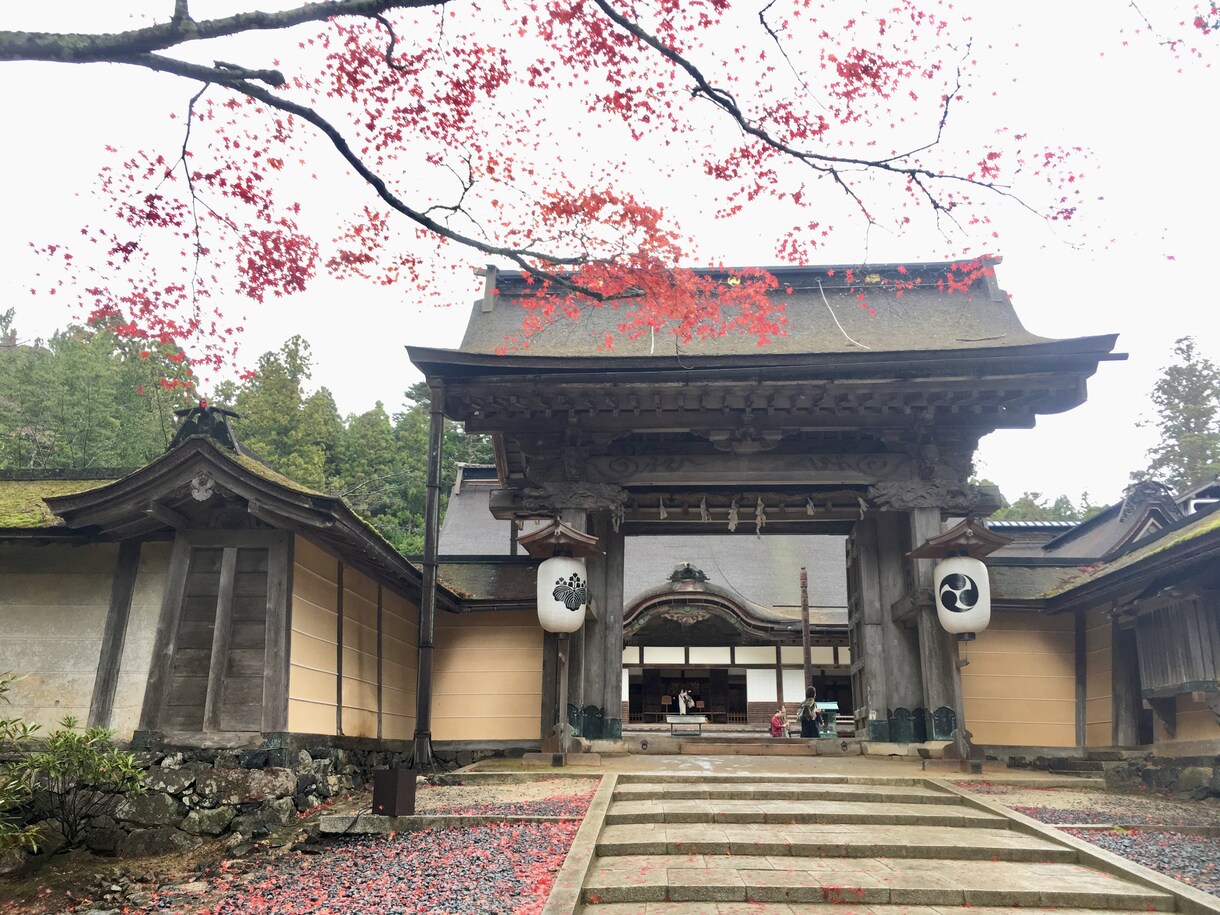 あなたの住んでいる家・部屋を診断します あなたの部屋は大丈夫ですか？見えない問題を解消に導きます。 イメージ1