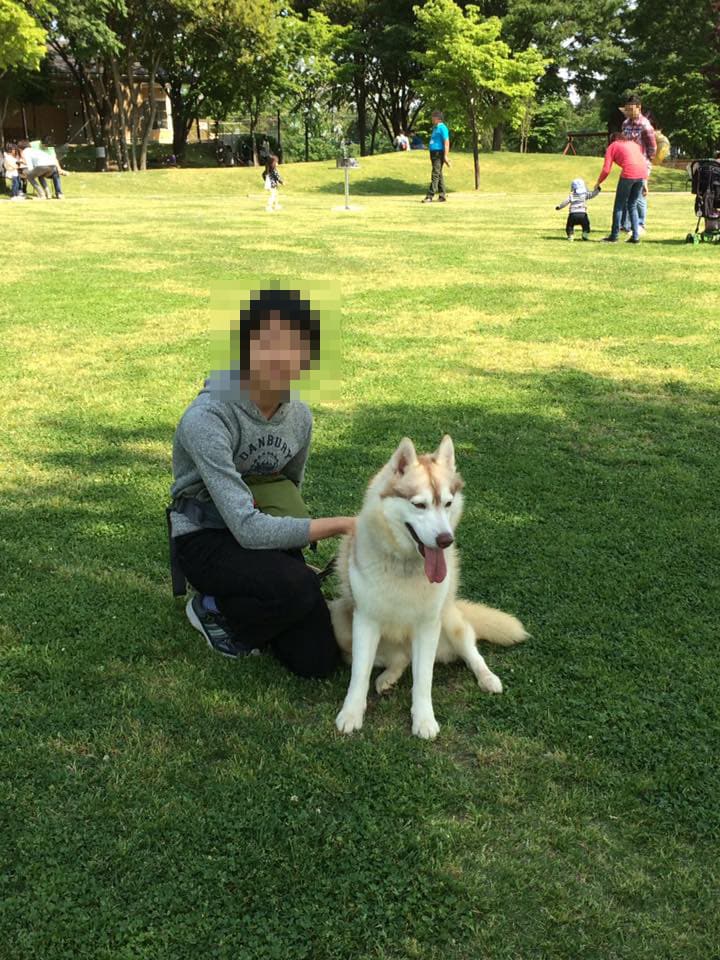 お持ちの写真や画像を更にキレイにします 記念に取った写真の背景に人などが映り込んでしまった時など イメージ2